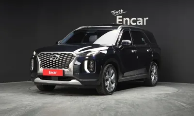 Hyundai Palisade · 2019 год
