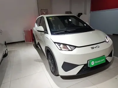 BYD Seagull 2026, 100 км, за 8882.91 USD