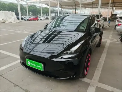 Tesla Model Y · 2023 год
