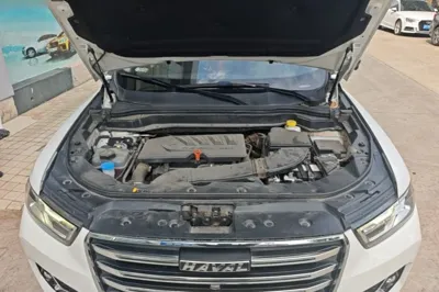 Haval H6 2021, 42500 км, за 9317 USD - фото 24