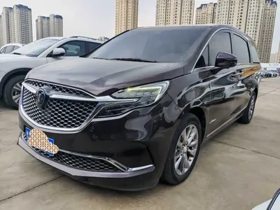 Buick GL8 · 2020 год