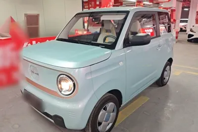 Geely Galaxy Panda · 2024 год