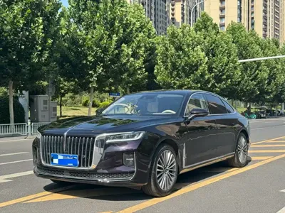 Hongqi Hongqi H9 · 2021 год
