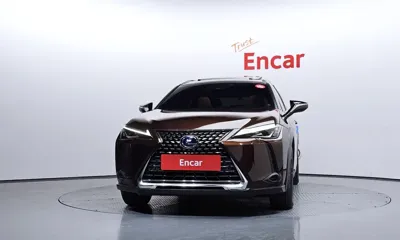 Lexus UX 2019, 21765 км, за 21523.16 USD