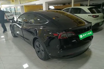 Tesla Model 3 2022, 69300 км, за 24486 USD
