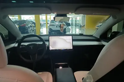 Tesla Model 3 2022, 69300 км, за 24486 USD - фото 12