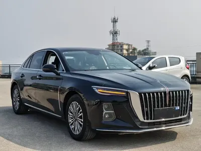 Hongqi Hongqi H5 2022, 48000 км, за 10742.31 USD
