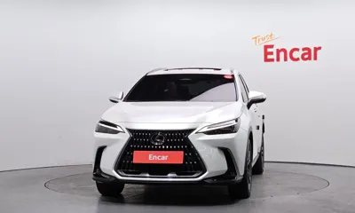 Lexus NX 2025, 17075 км, за 36333 USD