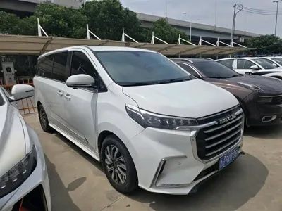 大通 G20 2020, 60000 км, за 8746.46 USD