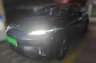 Leapmotor C11 · 2023 год