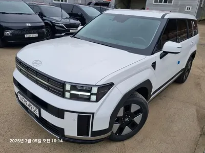 Hyundai Santafe · 2024 год