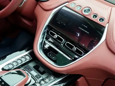 Aston Martin DBX 2023, 57000 км, за 145376.82 USD - фото 13