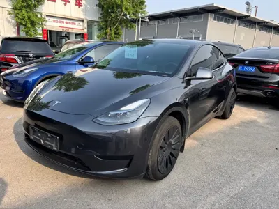 Tesla Model Y · 2024 год