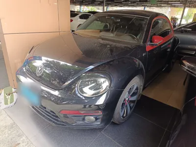 Volkswagen Beetle · 2013 год