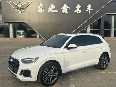 Audi Q5L · 2023 год