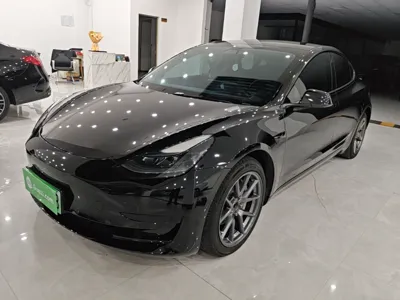 Tesla Model 3 · 2021 год