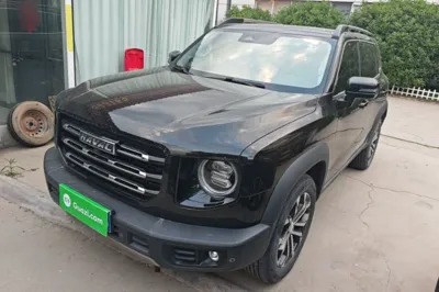 Haval Dargo · 2021 год
