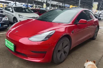 Tesla Model 3 · 2021 год