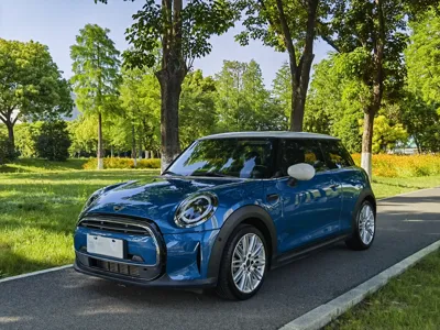 MINI MINI · 2022 год