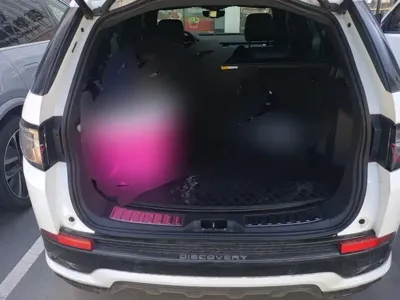Land Rover Discovery Sport 2020, 71100 км, за 16139.92 USD