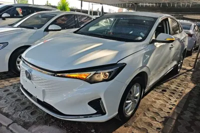 Changan Eado New Energy · 2022 год