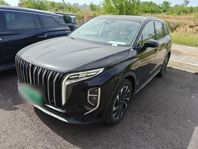 Hongqi HS7 PHEV · 2024 год