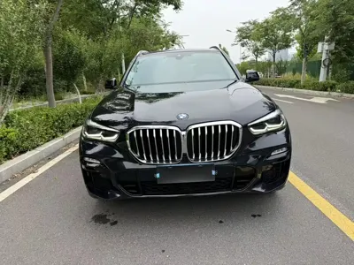 BMW X5 (Import) 2020, 160000 км, за 39551.91 USD