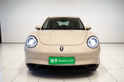 ORA Good Cat 2024, 21000 км, за 13407 USD