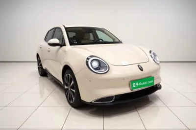ORA Good Cat 2024, 21000 км, за 13407 USD