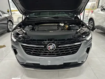 Buick Envision Plus 2021, 36000 км, за 14243.4 USD