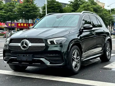 Mercedes-Benz 奔驰GLE(进口) · 2019 год