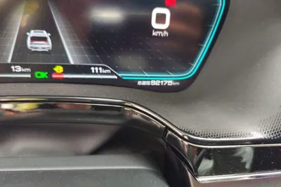 BYD Tang New Energy 2021, 92100 км, за 14365 USD - фото 9