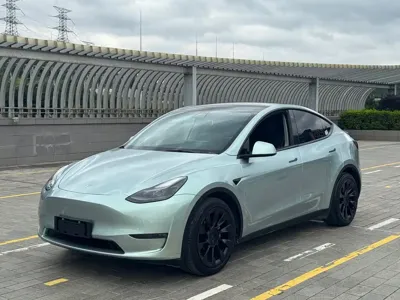 Tesla Model Y · 2021 год