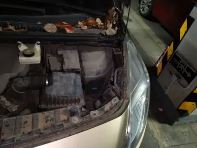 Peugeot 3008 2015, 36100 км, за 3438.13 USD - фото 24