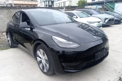 Tesla Model Y 2021, 63600 км, за 25512 USD