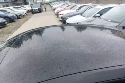 Tesla Model Y 2021, 63600 км, за 25512 USD - фото 7
