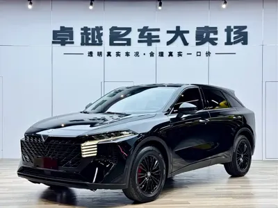 Venucia V · 2023 год