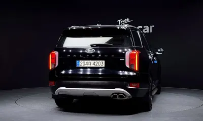Hyundai Palisade 2019, 122975 км, за 14441.86 USD