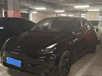 Tesla Model Y · 2022 год