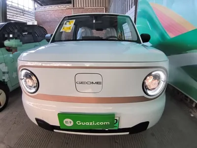 Geely Galaxy Panda 2024, 100 км, за 7014 USD - фото 2