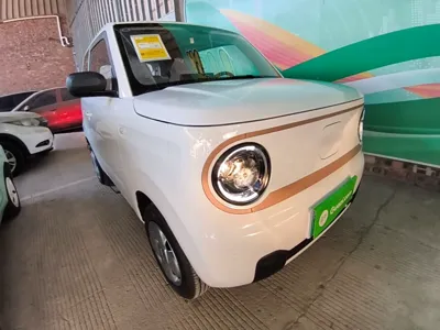 Geely Galaxy Panda 2024, 100 км, за 7014 USD - фото 3