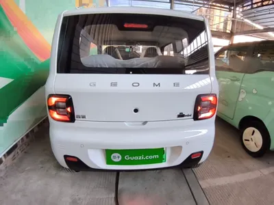 Geely Galaxy Panda 2024, 100 км, за 7014 USD - фото 5