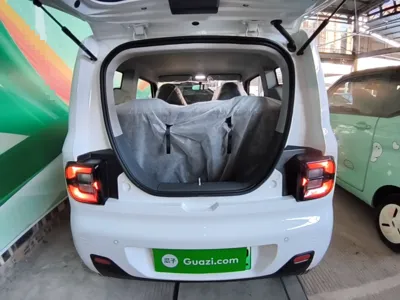 Geely Galaxy Panda 2024, 100 км, за 7014 USD - фото 22