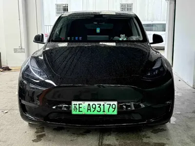Tesla Model Y · 2021 год