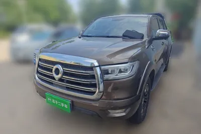 Great Wall Poer · 2019 год