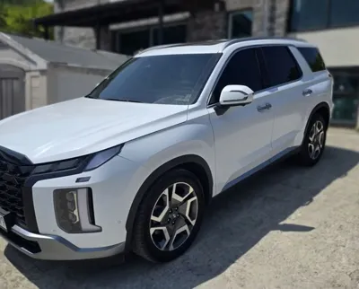 Hyundai Palisade 2024, 23000 км, за 28817.12 USD