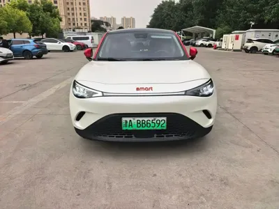 Smart Smart #3 2024, 29000 км, за 16921.39 USD