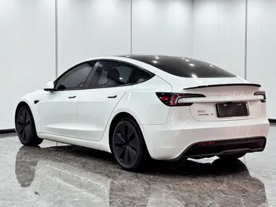 Tesla Model 3 2024, 58000 км, за 27221.37 USD