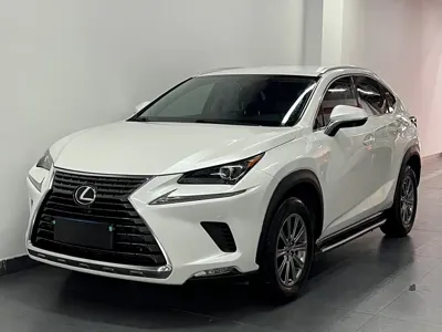 Lexus NX · 2020 год