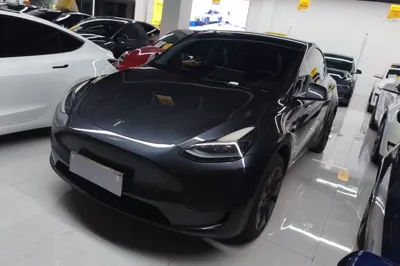 Tesla Model Y · 2024 год